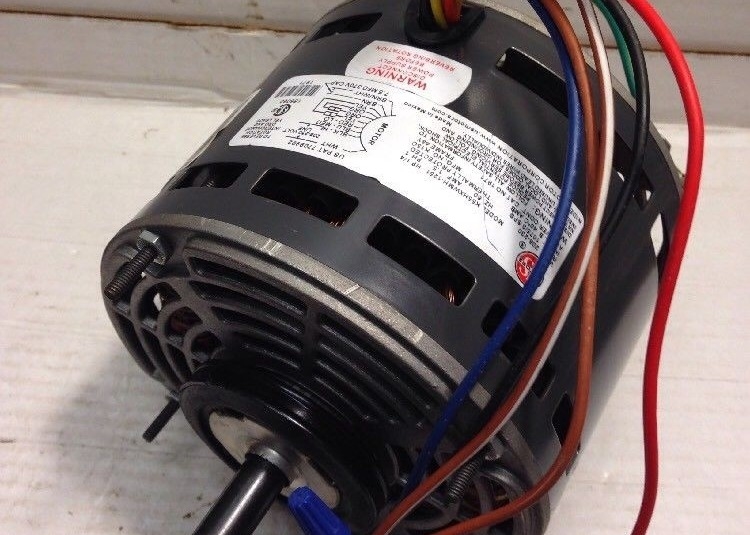 K55HXWMH-1251 1/4HP Motor Blower Listrik 208-230/60-1 RPM 1075/3-Kecepatan Poros Tunggal